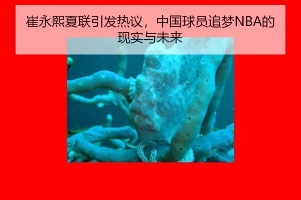 崔永熙夏联引发热议，中国球员追梦NBA的现实与未来